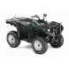 2011 Grizzly 700 FI Auto. 4x4 - Hunter Green