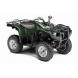 2011 Grizzly 550 FI Auto. 4x4 EPS - Hunter Green