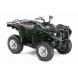 2011 Grizzly 700 FI Auto 4x4 EPS - Hunter Green