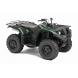 2011 Grizzly 450 Auto. 4x4 EPS - Hunter Green