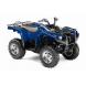 2011 Grizzly 700 FI Auto 4x4 EPS - Steel Blue