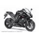 2011 Ninja® 1000