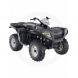 2007 Sportsman 500 EFI