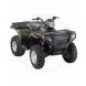 2007 LE Sagebrush Green 500 EFI