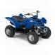 2007 Raptor 80