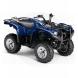2007 Grizzly 700 FI Auto. 4x4