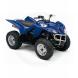 2007 Wolverine 450 4X4
