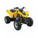 2007 DS 250
