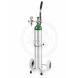CART WITH E CYLINDER WITH REGULATOR, NO GAUGE