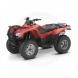 2007 FourTrax Rancher
