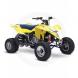 2007 QuadRacer LT-R450™