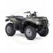2007 Eiger™ 400 4x4 Automatic