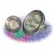 JANDYCOLORS™ QUARTZ HOLGEN LIGHTS (Jandy)