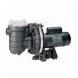 MAX-E-GLAS® PUMPS