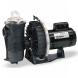 CHALLENGER® HIGH FLOW PUMPS - INGROUND