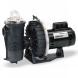 CHALLENGER® HIGH PRESSURE PUMPS - INGROUND