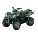 2008 250 2x4 Automatic