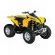 2008 Renegade 800 H.O. EFI 4x4