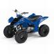 2008 Raptor 80