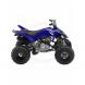 2008 Raptor 250