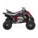 2008 Raptor 700R