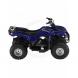 2008 Grizzly 80