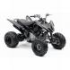 2008 Raptor 250 SE Custom