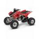 2008 TRX450R (Kick Start)