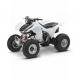 2008 TRX300EX