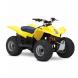 2008 QuadSport® Z50