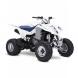 2008 QuadSport® Z400™