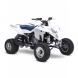 2008 QuadRacer R450™