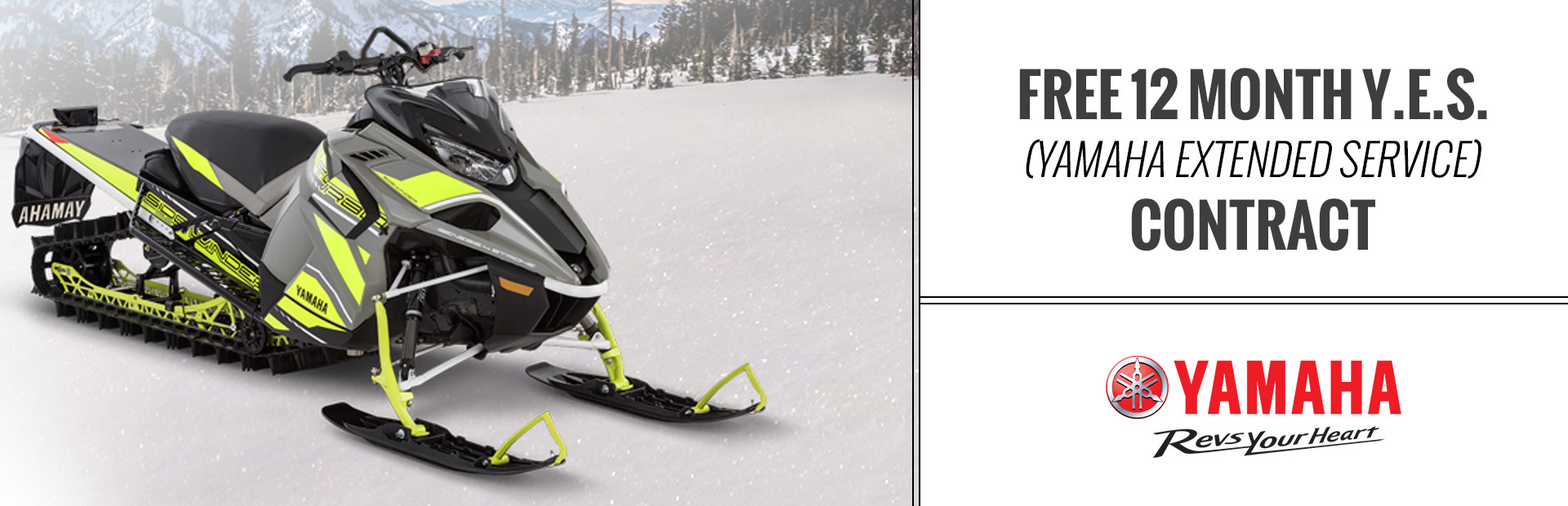 Yamaha: Free 12 month Y.E.S.