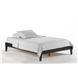 Basic Bed
