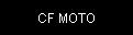 CF MOTO