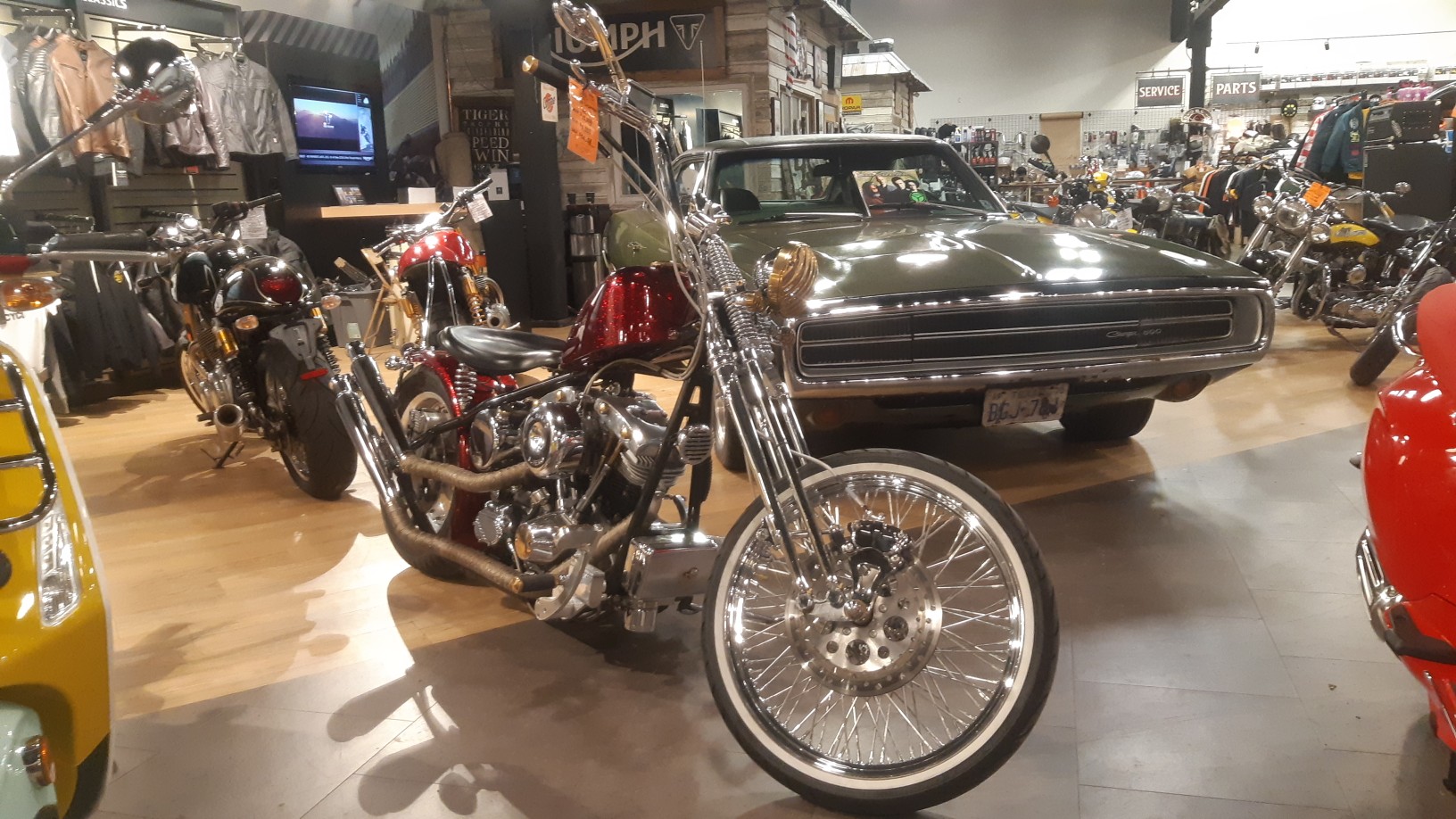 Used Inventory International Motorsports