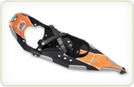Snowshoe