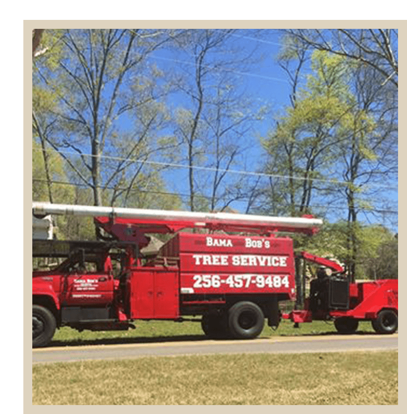 Bama Bob's Tree Service
