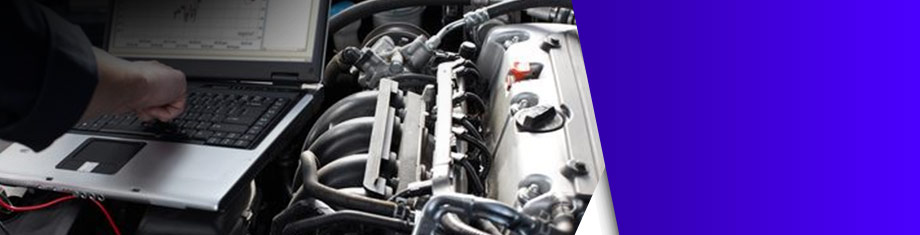 Mechanical/Performance