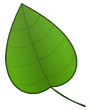 leaf
