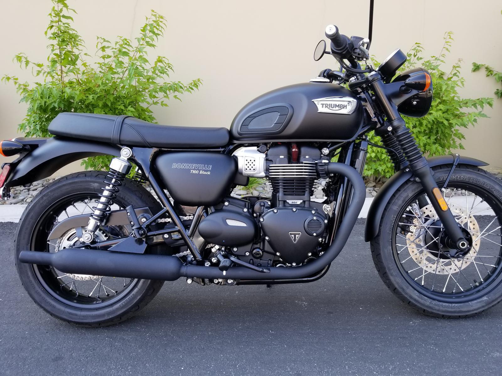 2019 Triumph Bonneville T 100 Black For Sale In Reno Nv Euro Cycle