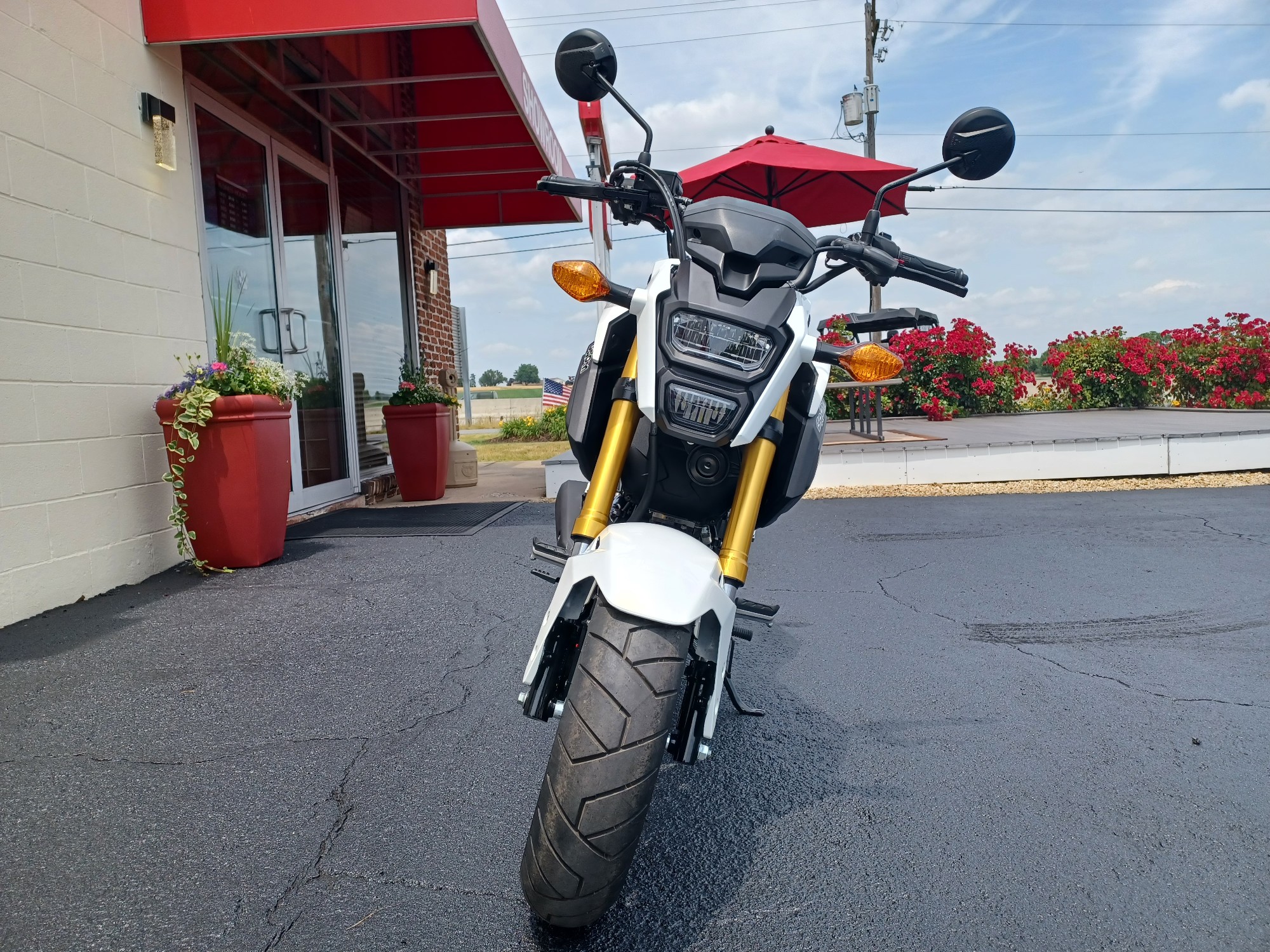 Honda Dealer Lancaster Pa - yqb5wcu