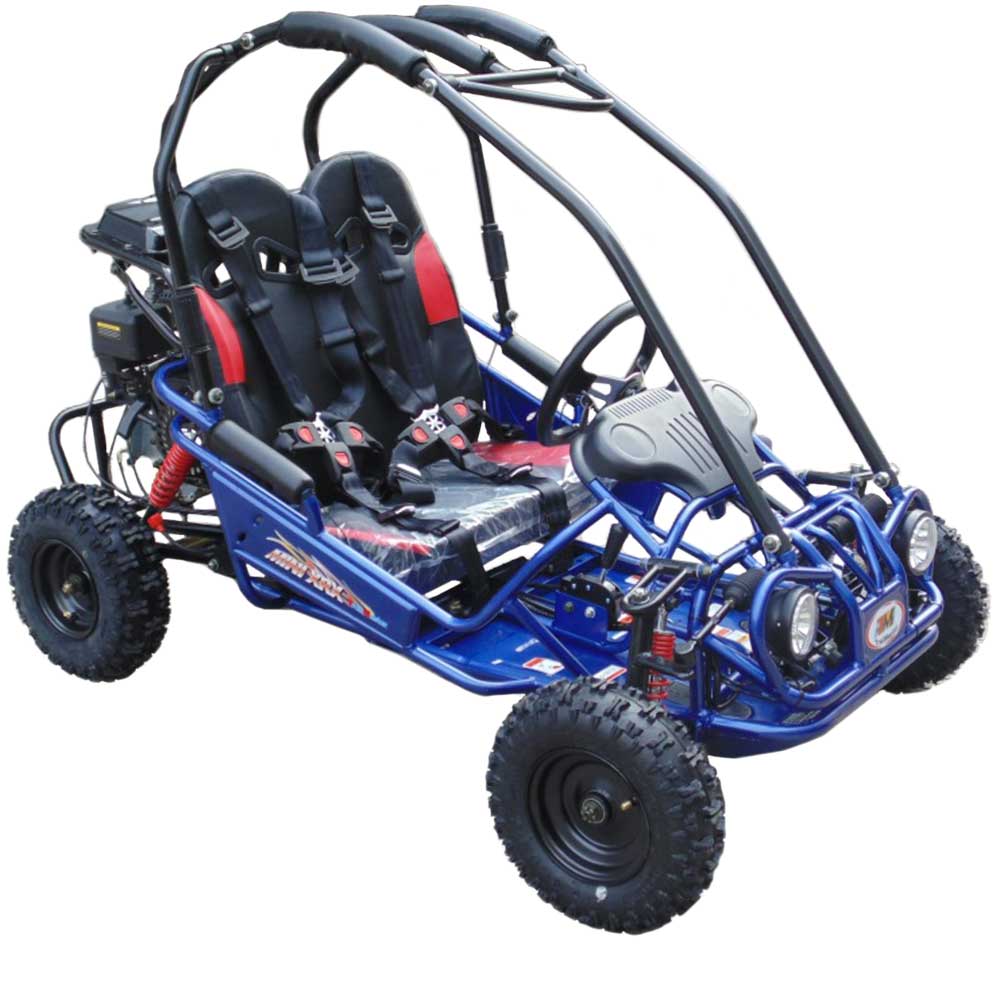 trailmaster mini xrx r