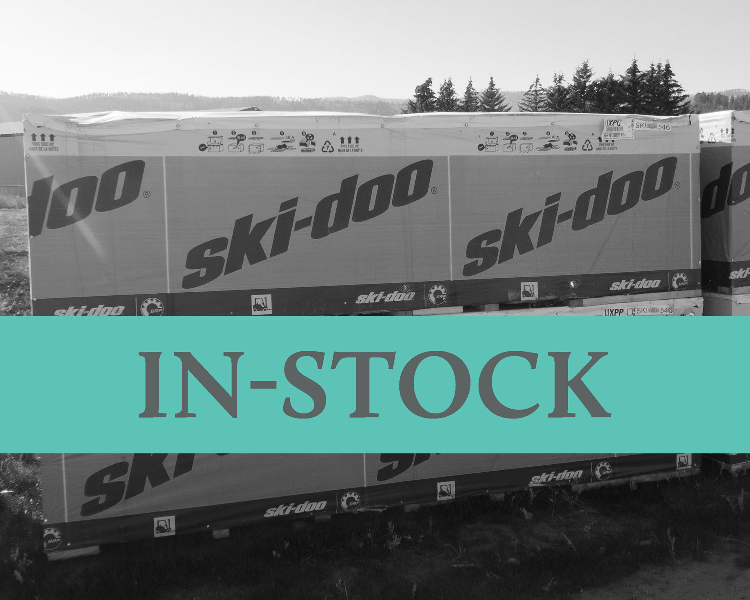 Snowmobile from SkiDoo Jesco Marine & Power Sports Kalispell, MT (406) 7522112