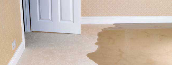 Sewage Cleanup, Decontamination, and Removal Services 35_copy1