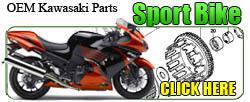 kawasaki_sportbikeoem250.jpg