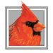 wild bird