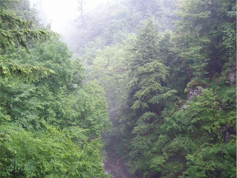 K&H ATV Ride with Sherburne ATV Trail Riders Club K & H Motor Sports