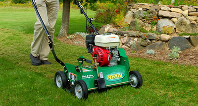 Power Rake Dethatcher Rental Arco Lawn Equipment Ballwin Mo 636 394 0044