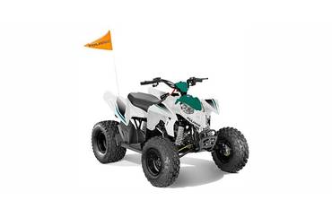 Outlaw® 110 EFI
